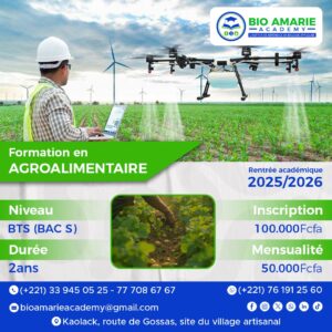 img 20250829 wa0099